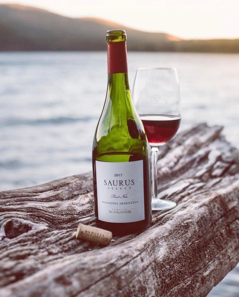Saurus Select Pinot Noir 