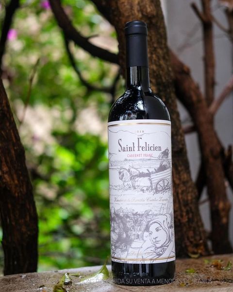 Saint Felicien cabernet franc 