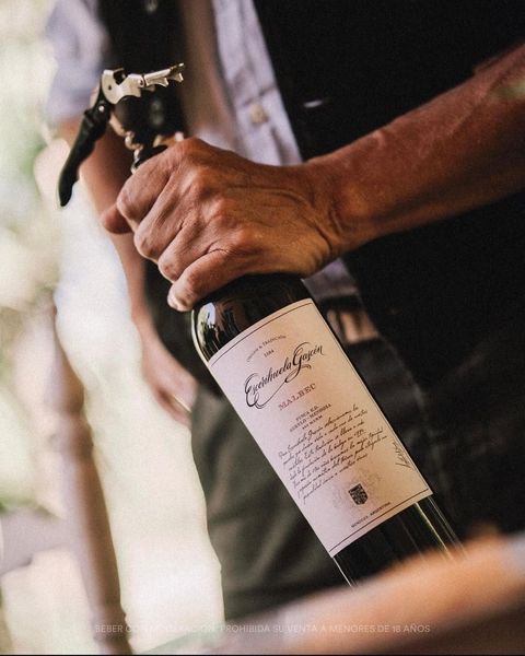 Escorihuela Gascón malbec