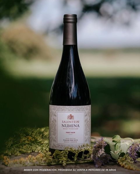 Salentein Numina pinot noir