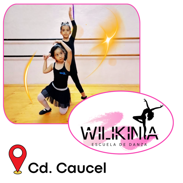 Academia Wilikinia