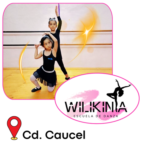 Academia Wilikinia