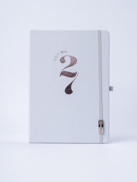 Agenda FW Classic Diaria 15x21