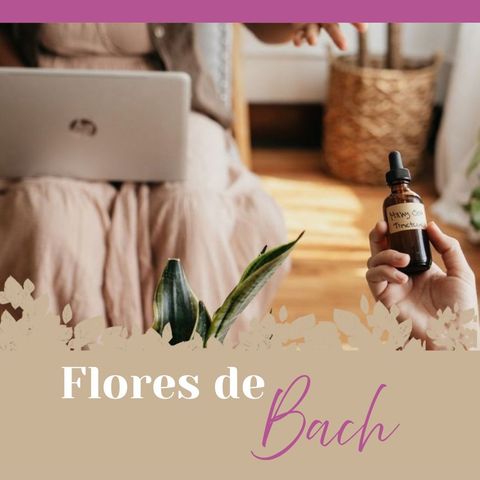 Terapia Floral Bach