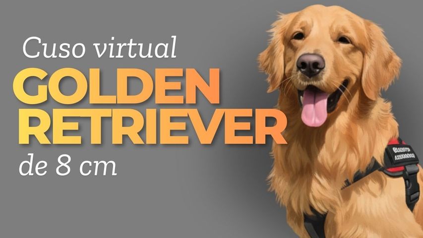 Golden retriever sentado 8 cm