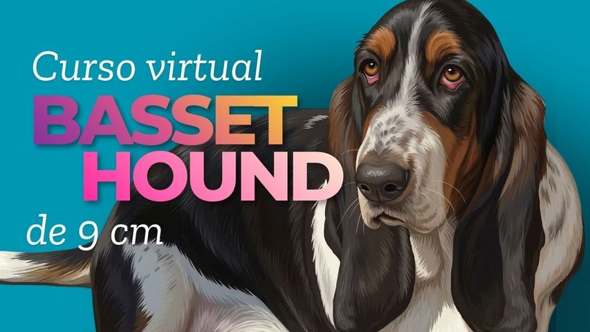Basset Hound 9 cm