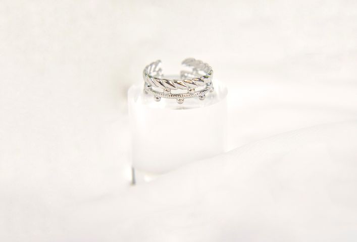 Anillo Doble Plateado 1