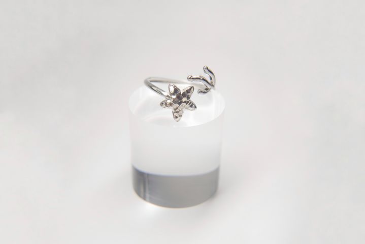 Anillo Mar