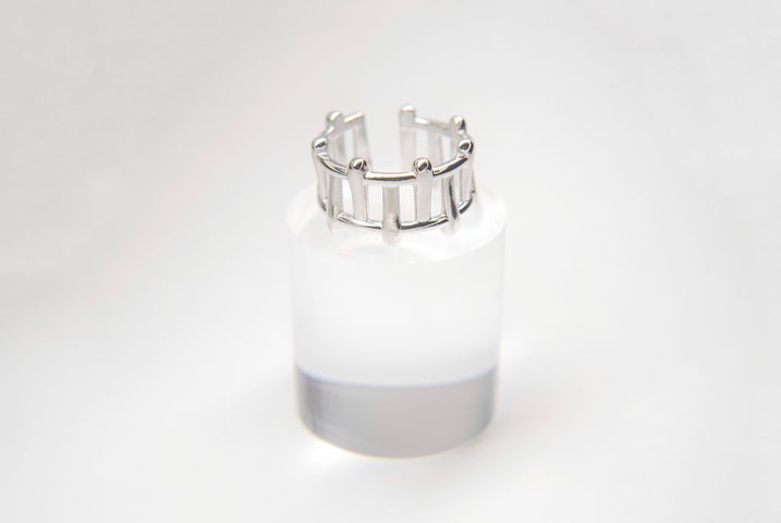 Anillo Barras