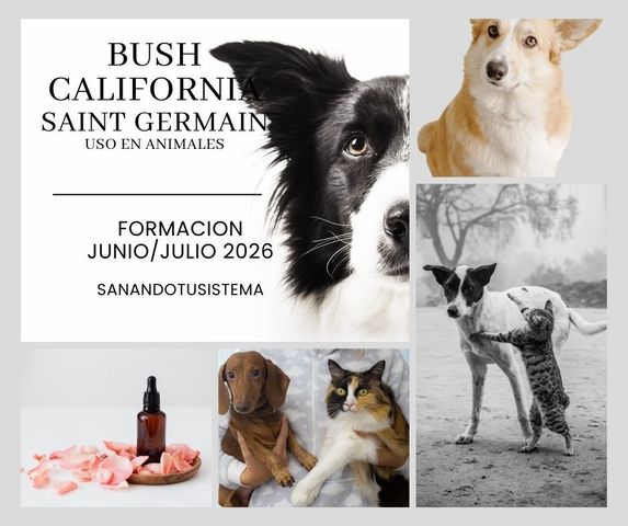 Curso Esencias BUSH, CALFORNIA Y SAINT GERMAIN en Animales - Edicion 2026 (Grabado)