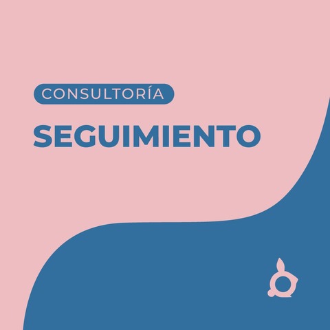 Consultoría de Seguimiento