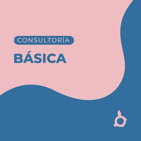 Consultoría Básica