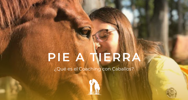 ¿Qué es el Coaching con Caballos?