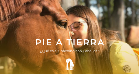 ¿Qué es el Coaching con Caballos?