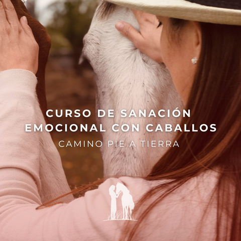Curso de Sanación Emocional con Caballos y Especialización en Coaching Sistémico Asistido con Caballos (Lunes F25A 10.30hs)