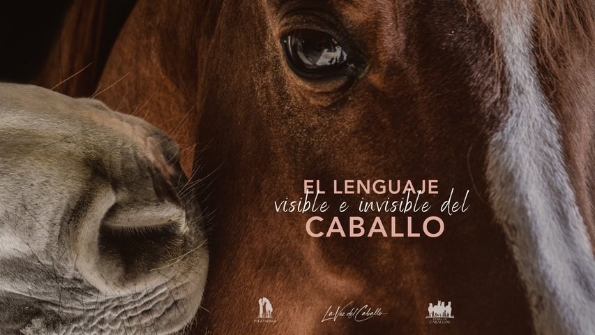 El Lenguaje Visible e Invisible del Caballo