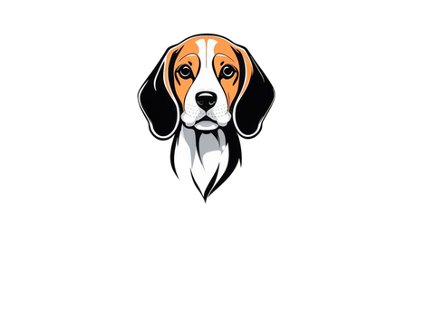 RUNLANCE