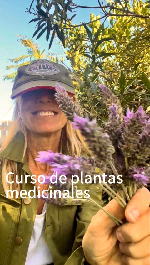 Curso Plantas Medicinales online