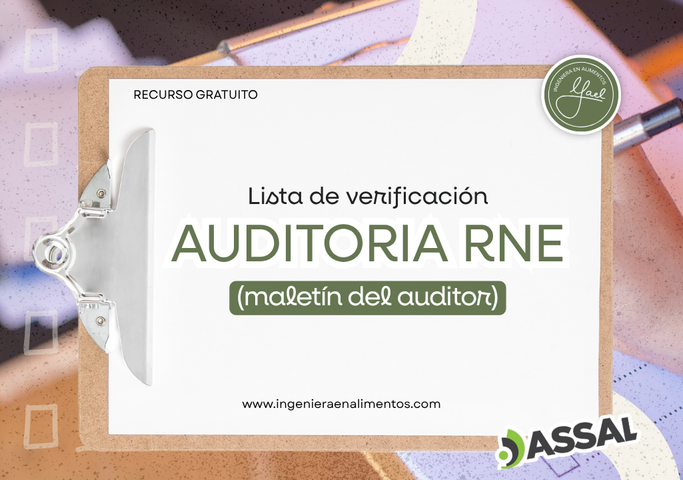 Checklist Auditoría RNE – ASSAl Santa Fe (Excel + PDF Imprimible) - GRATIS