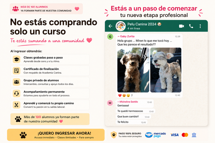 Primero Auxilios 