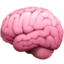 🧠