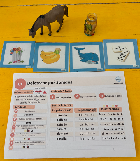 Sonileo ABC 3 kits -Programa Completo