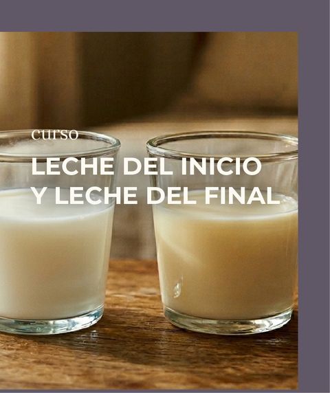 Leche de inicio y leche de final