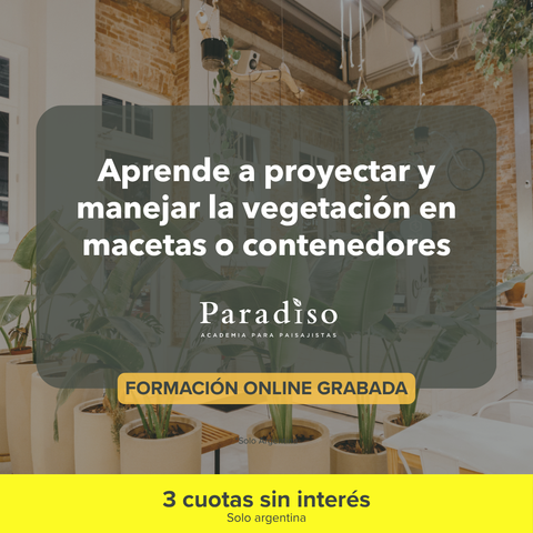 Paisajismo en Macetas