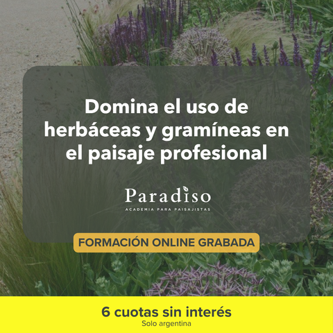 Manejo y Selección Vegetal: Herbáceas y Gramíneas