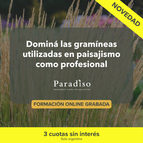 Gramíneas en Paisajismo