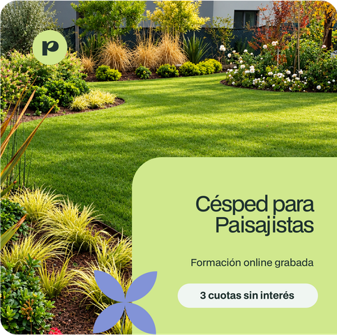Manejo de Césped