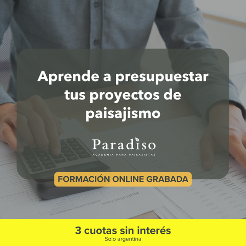 Presupuestos y Mentalidad Financiera 