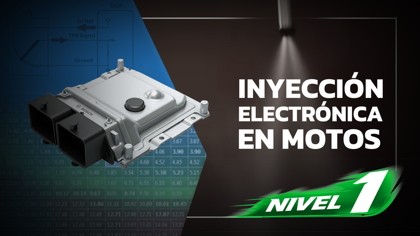 Curso Profesional de Inyección Electrónica en Motos - Nivel 1