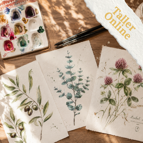 Taller Online: Mi Herbario · Colección I