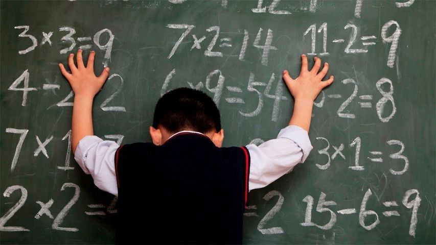 CURSO DE ACTUALIZACIÓN EN COGNICIÓN NUMÉRICA Y DISCALCULIA