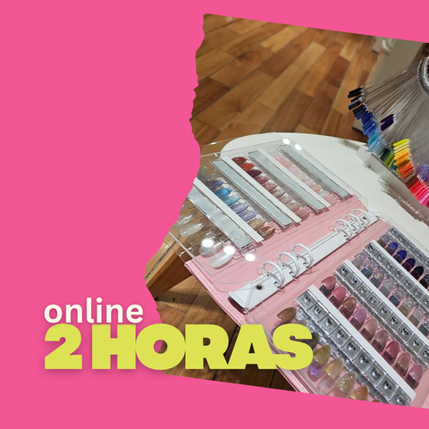 Sesión online (2 horas)