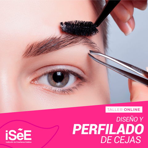 TALLER DE DISEÑO Y PERFILADO DE CEJAS