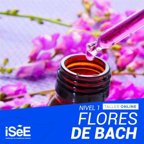 TALLER DE FLORES DE BACH - NIVEL I