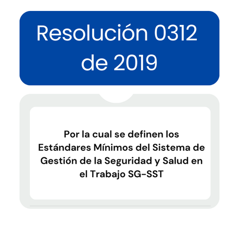 Resolución 0312 de 2019