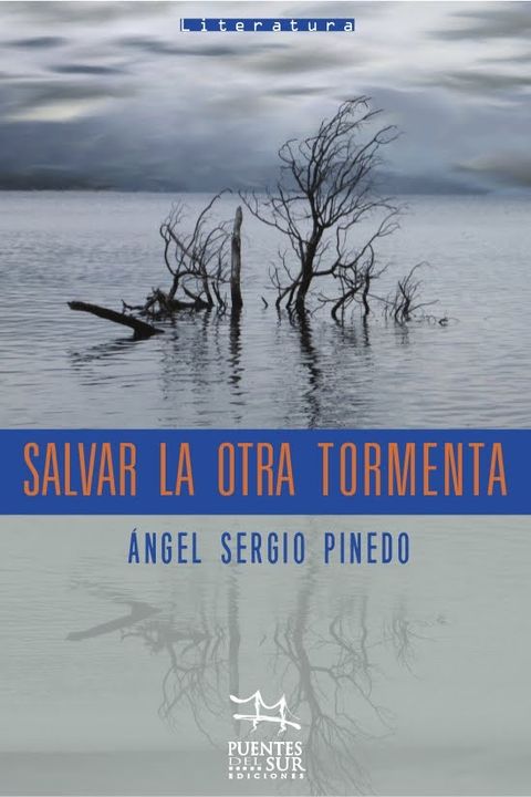 SALVAR LA OTRA TORMENTA (NOVELA)