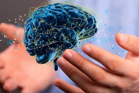 El cerebro y la mente, un mismo sistema. 