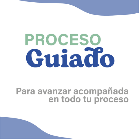 Proceso Guiado