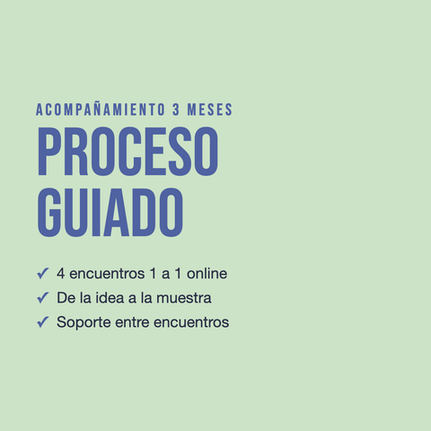 Proceso Guiado · Acompañamiento 3 meses