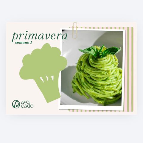 PRIMAVERA VOL I