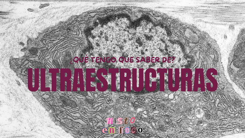 Clase ULTRAESTRUCTURAS I
