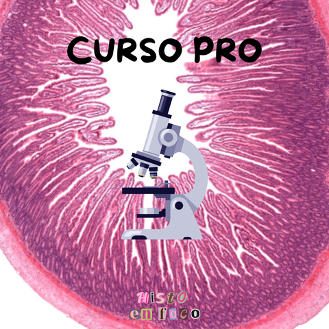 Curso PRO ★ ★