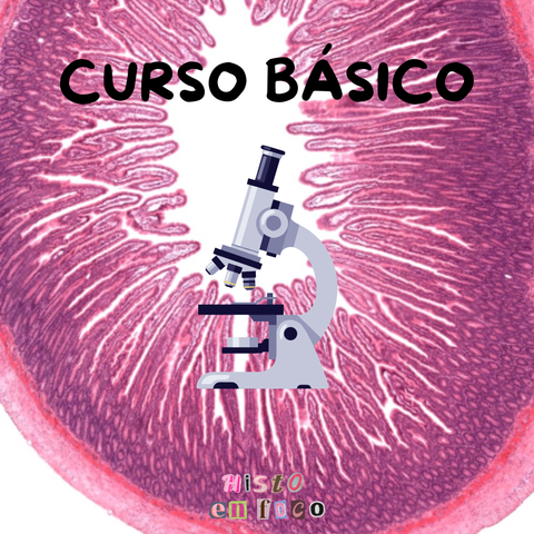 Curso BÁSICO ★