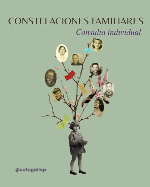 Sesión de Constelaciones Familiares - Consulta Individual Online