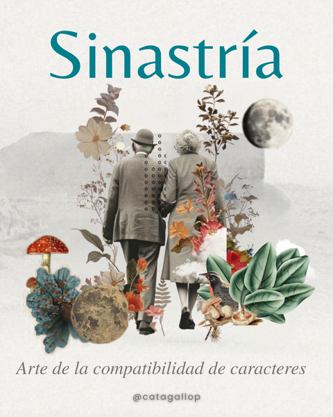 Sesión de Sinastría