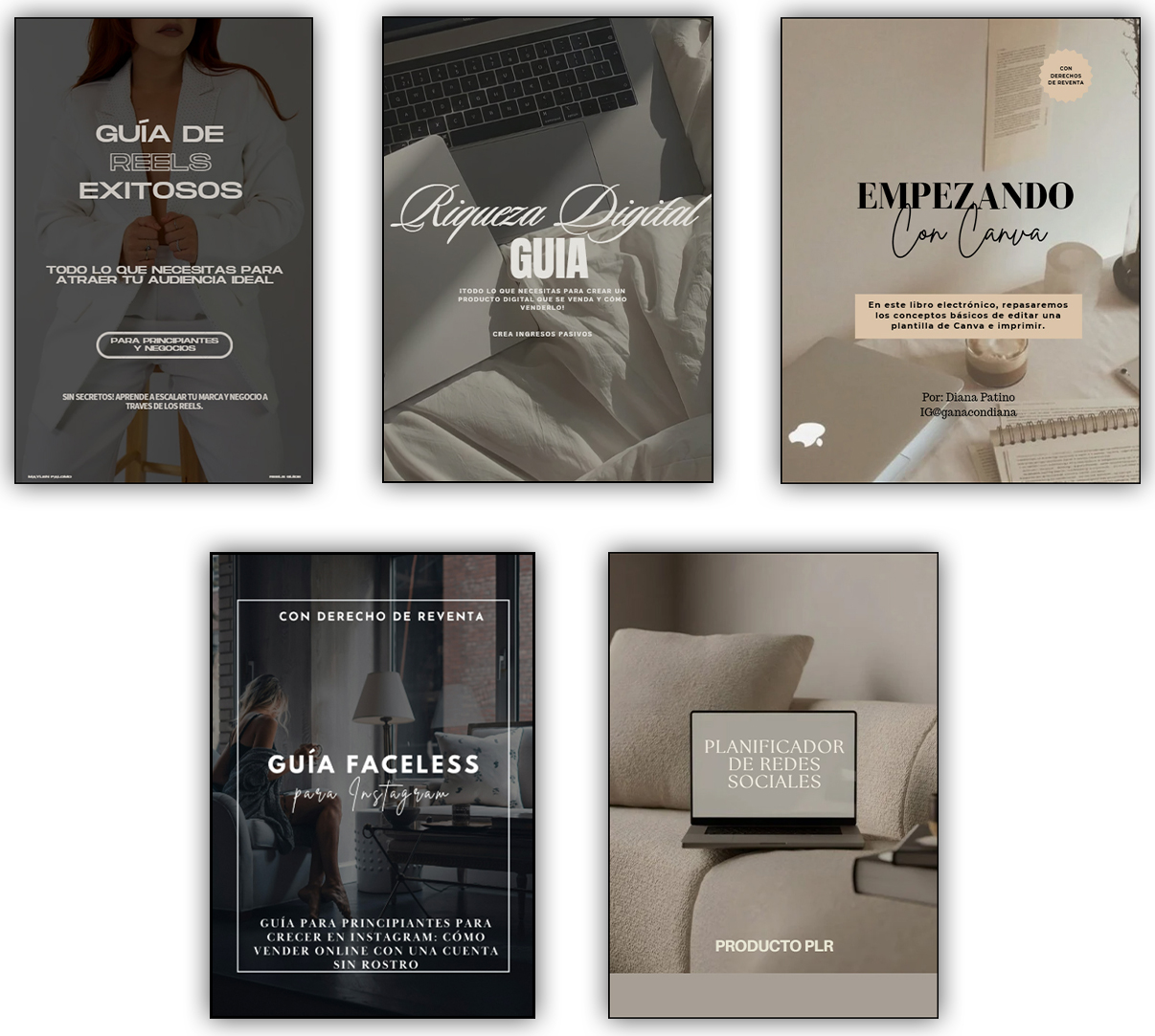 5 Productos Editables